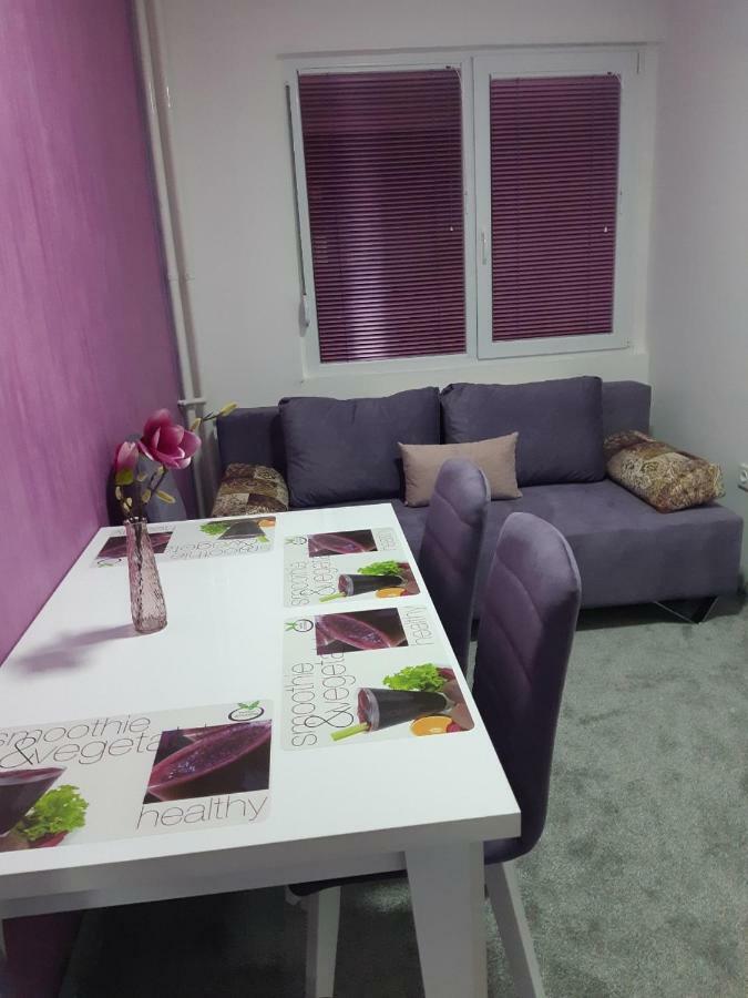 Apartment No. 5 Čačak Kültér fotó