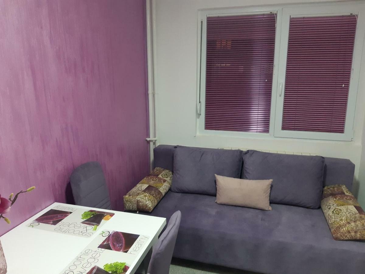 Apartment No. 5 Čačak Kültér fotó